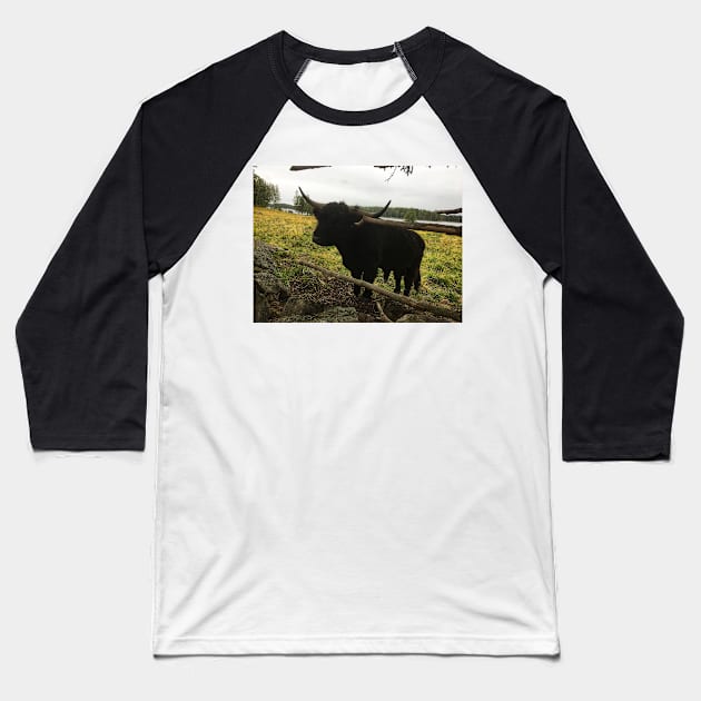 Scottish Highland Cattle Dark Black Bull 2089 Baseball T-Shirt by SaarelaHighland